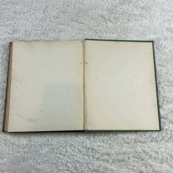 The True Story of Abraham Lincoln Elbridge S Brooks 1896 first edition antique - Picture 14 of 16